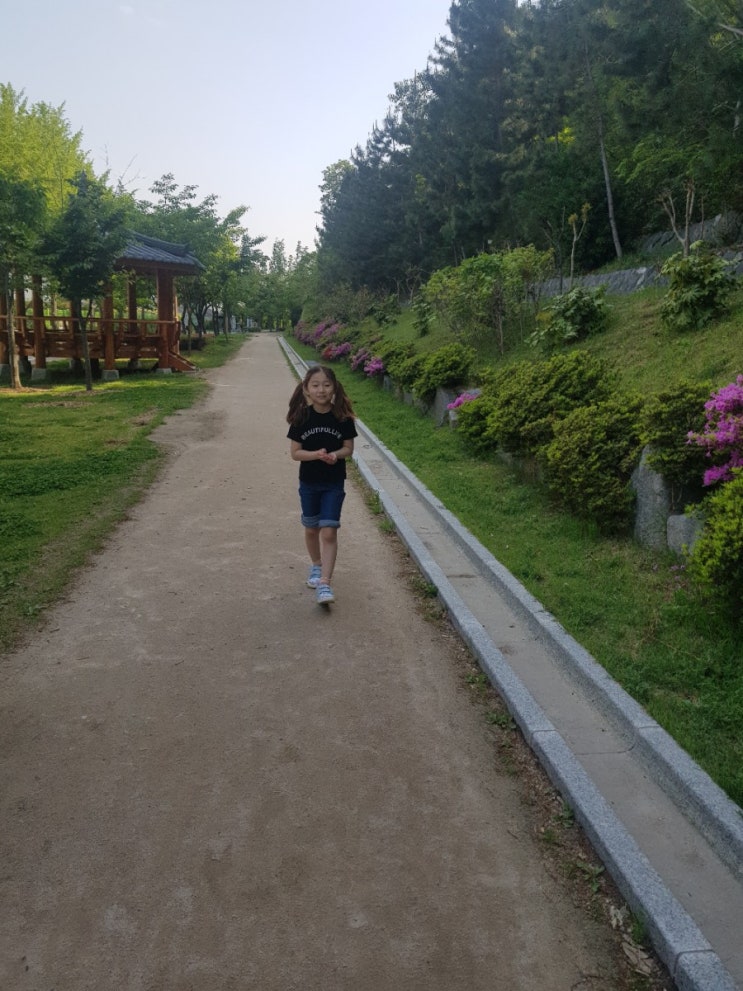  포항 철숲길 도심을 가로질러 걷기