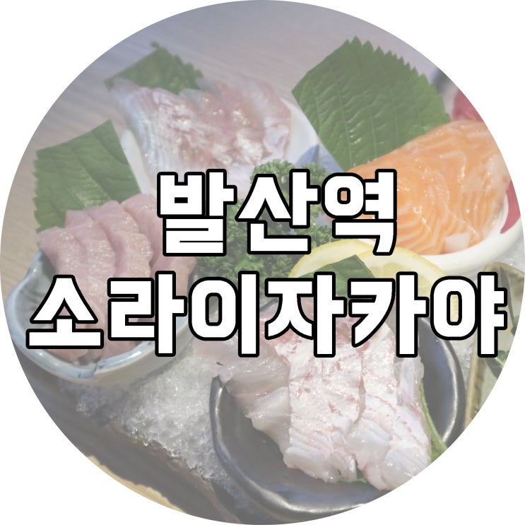  발산역 술집 마곡 이자카야 소라 편백나무찜 JMT