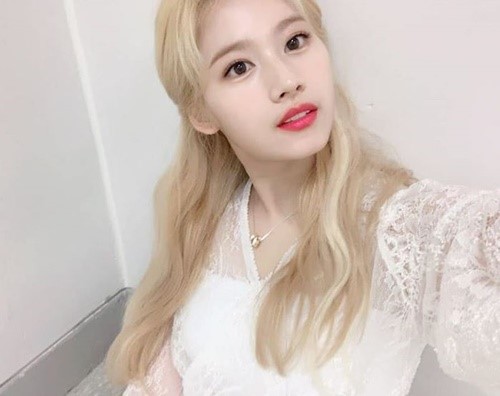  트와이스 사나, 아키히토 일왕 퇴위 소식에 “쓸쓸하지만 수고하셨다” 