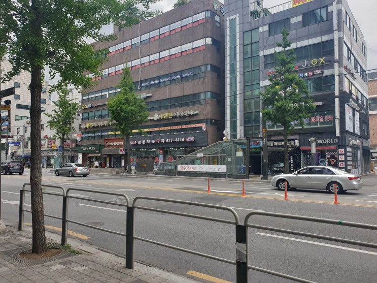  강동구 일요일에도 영업하는 약국
