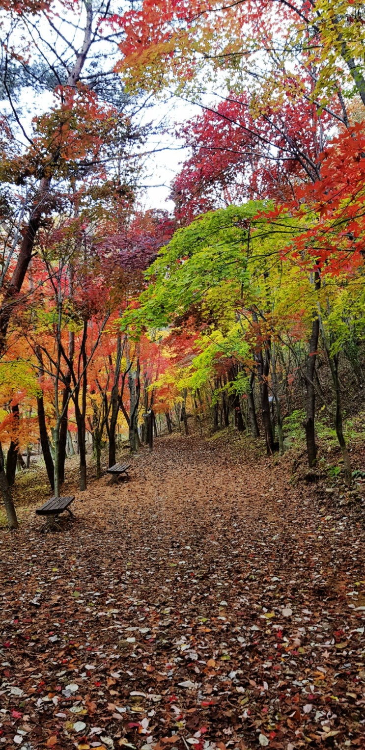  대전 산내동 14