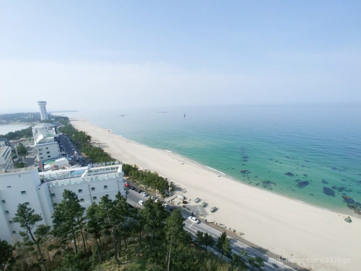  강릉 1박 2일 여행 맛집, 숙소 추천 
