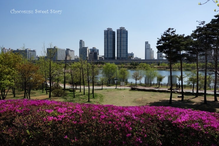  토스 미세먼지 보험 출시 된거 아시나요?