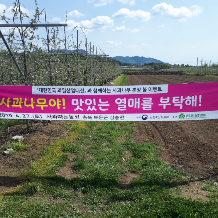  대한민국 과일산업대전 사과나무 분양 봄이벤트!!!