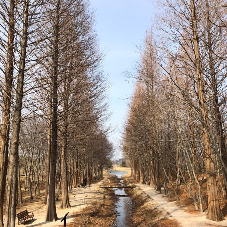  경주여행_경주가볼만한곳 산림연구원.솔거미술관.로드100카페