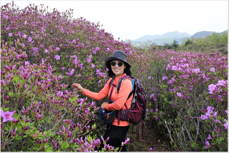 [경남 황매산] 신명난 봄날의 외출...철쭉,평전, 암릉과 함께한 황매산