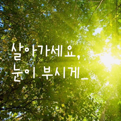  오늘을 살아가세요. 눈이 부시게