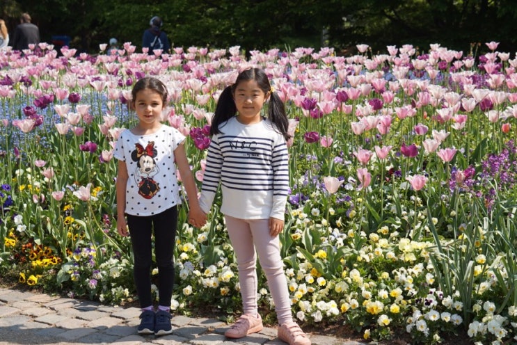  3일 연속 저녁 초대받음, 루이젠 파크 in 만하임