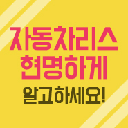  자동차리스견적 추천회사 마이다이렉트카