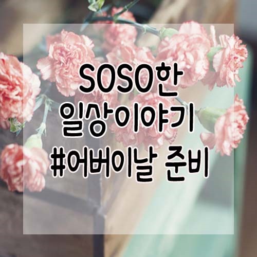  올해 어버이날은 카네이션 선물이 좋겠죠?