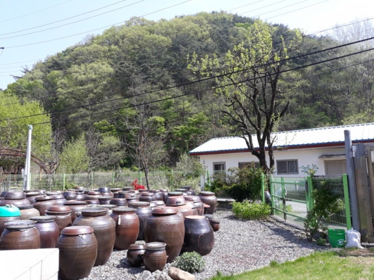  약선장은 지금