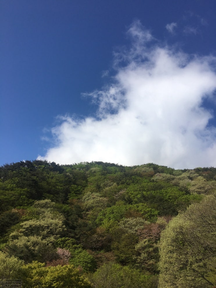  눈이 부시게