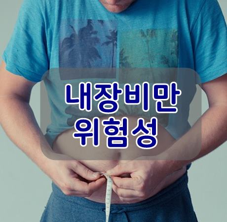  내장비만위험성 빨리 빼야 될것 같아요.