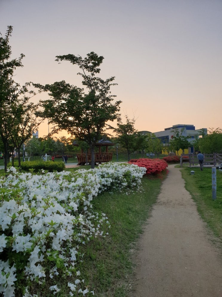  경산 가볼만한곳 남매지못