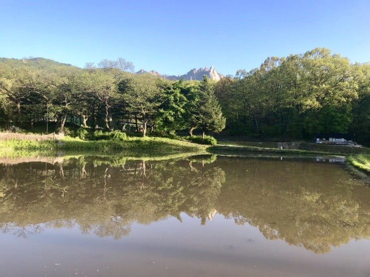  싱그러운 아침햇살을 맞으며 산책