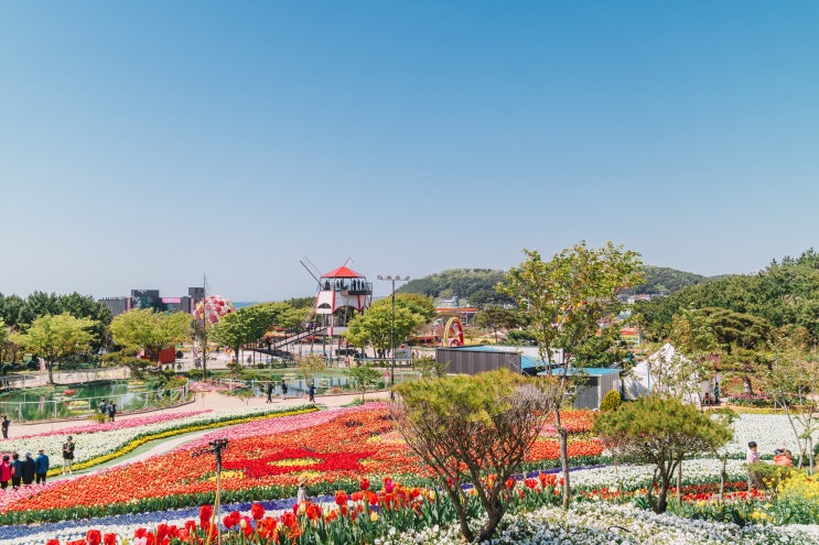  [안면도 여행]태안세계튤립축제_ 기간,입장료,먹거리정리