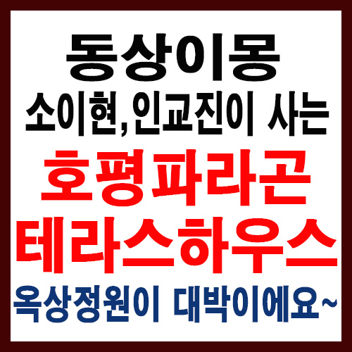  호평동 동양파라곤 복층 테라스하우스 럭셔리한집-동상이몽 소이현,인교진이 사는집