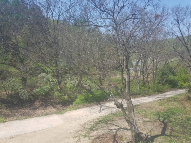  눈이 부시게