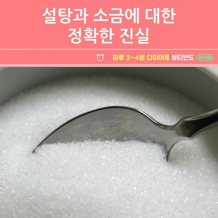  설탕과 소금에 대한 진실