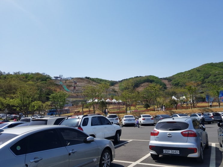  강화도루지 체험~! 가격부터 실제 후기까지~^^ 꼭 알고가세용~