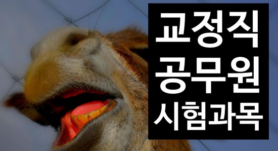  20세이상 지원가능한 교정직공무원시험정보 확인해보세요!!