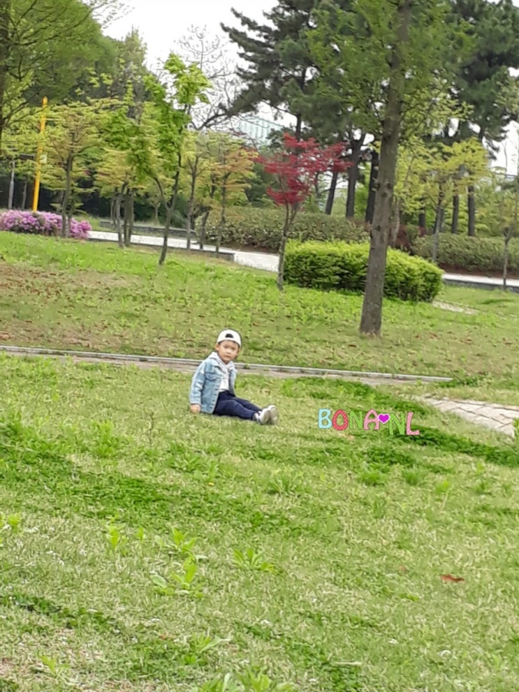  늘솔길공원 양떼목장/아이와가볼만한곳