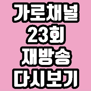 가로채널 음문석 고규필 안창환 23회 재방송 다시보기 방송시간 편성표
