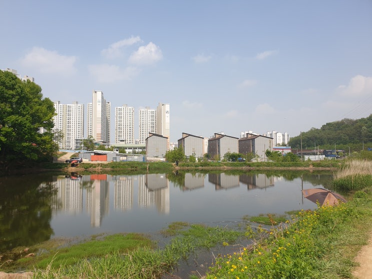  귀차니즘 이번주 일상