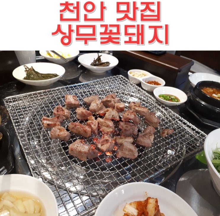  천안 신부동 맛집 상무꽃돼지 연탄구이 천안 상륙 30년 고기 장인의 집