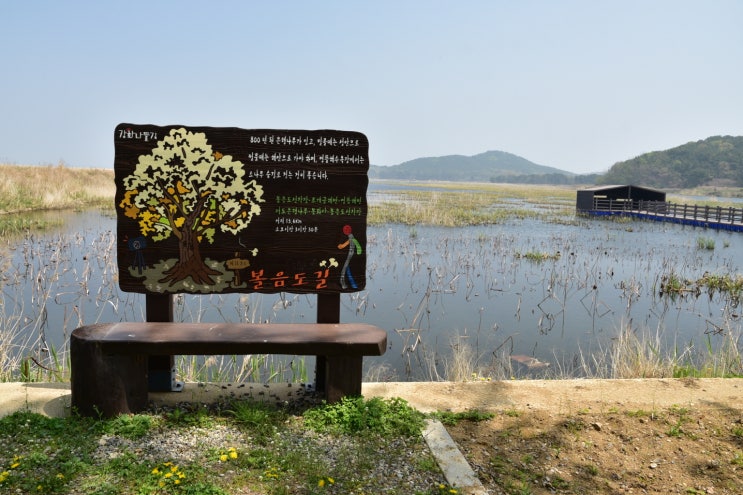  [강화나들길 13코스]  볼음도길 - 배 출발지는 어디?