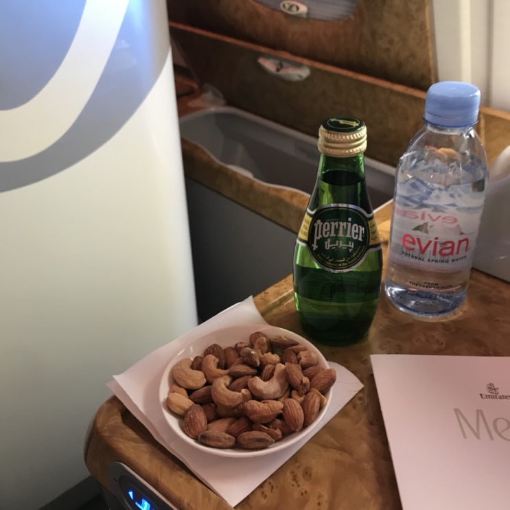  [비행일기] DXB-AKL-DXB 오클랜드, 뉴질랜드