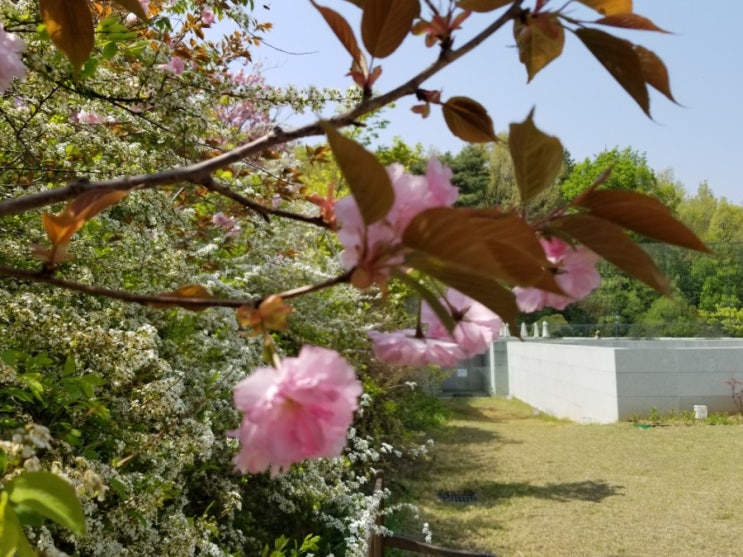  오월, 눈이 부시게