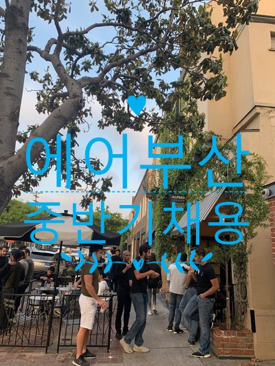  승무원 중반기,  첫번째 타자 에어부산 채용! 자소서항목은?