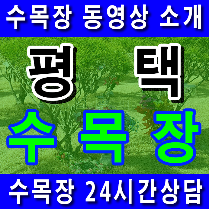  평택 화성 수목장 가격 (수목장 360도 회전 사진 촬영), 오산 당진 서산 수목장 비용 금액