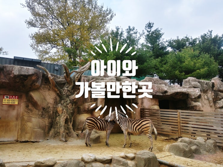  수도권 아이와 가볼만한곳 20