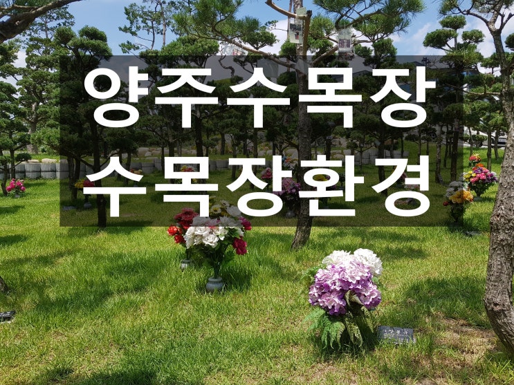  양주수목장 답사 다녀왔습니다~