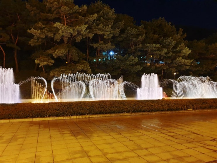  예술의전당 음악분수 나들이 - 음악분수 시간