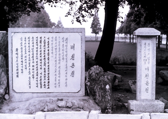  라듐온천- 배천온천