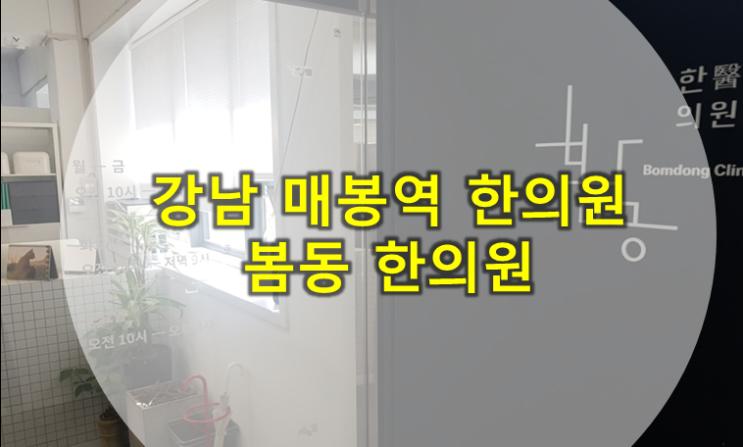  강남 매봉역 봄동한의원 후기