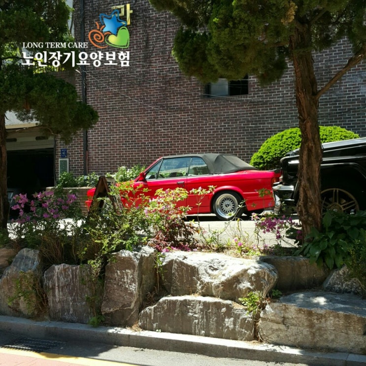  노인장기요양등급 판정받는 방법과 꿀팁 [입주요양 안내]