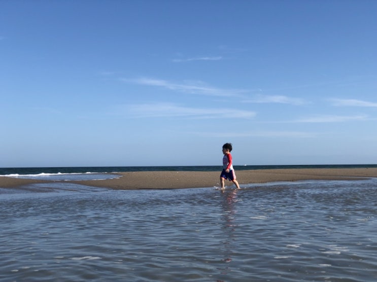  라이츠빌 비치 당일 여행(Wrightsville Beach, NC)