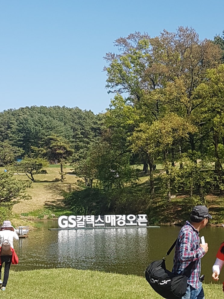  2019년 제38회 GS칼텍스 매경오픈 갤러리 후기!