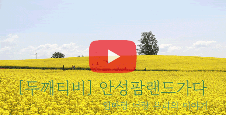  [두깨티비]유채꽃 가득한 안성팜랜드 가다