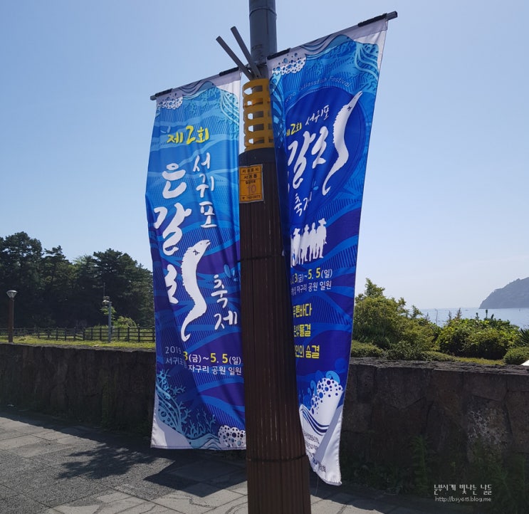  제2회 서귀포 은갈치축제 직접 다녀왔어요~