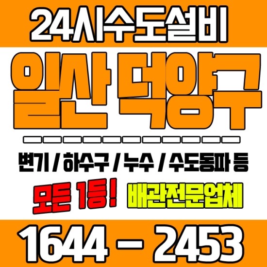  일산 능곡동하수구 화장실배수구막힘 약품을 써봐도 안내려갈때! 강매동변기막힘 확실한방법은 여기서! (흥도동 창릉동 내곡동 대자동)
