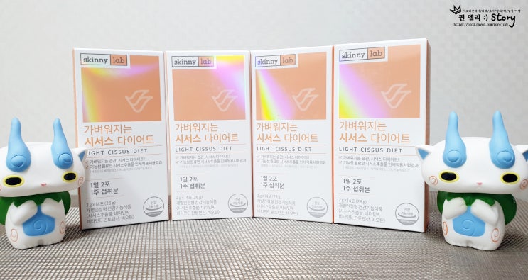  단기다이어트, 이다희 다이어트, 가벼워지는 시서스 다이어트 성공하자!