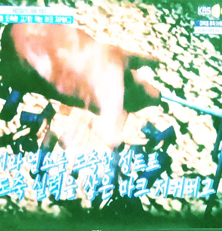  성수동 블루보틀 방문 기대만큼 좋아