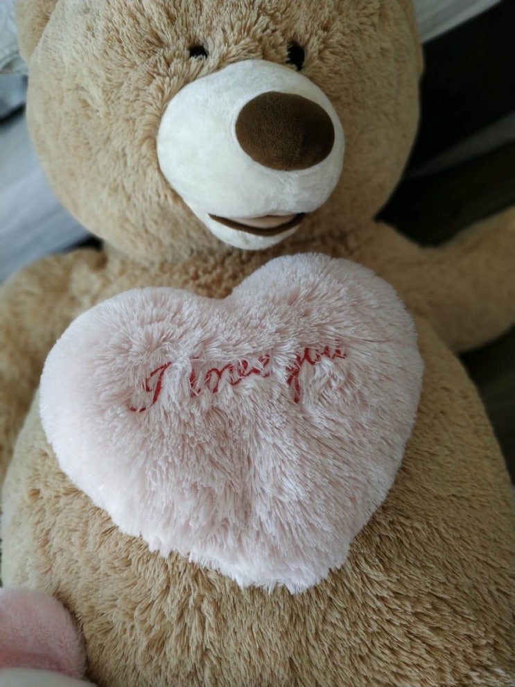  오래된 아파트 이사당일 욕실청소는 어떻게 하시나요? 빌려줄게