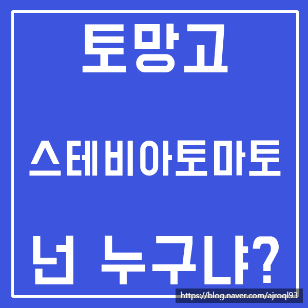 토망고, 스테비아토마토 알아보자!