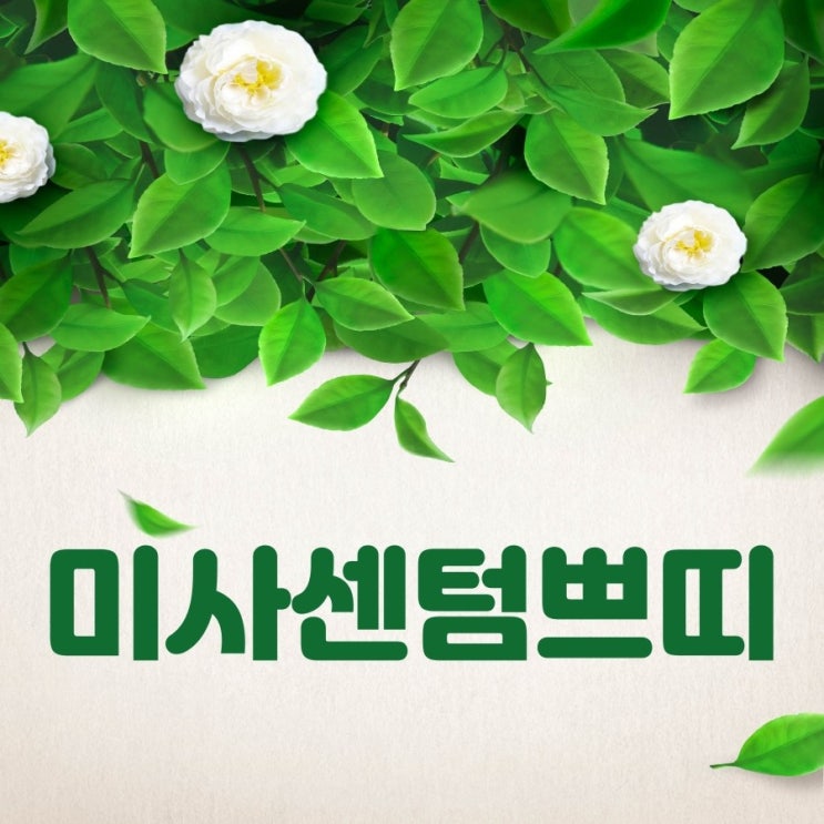 미사센텀쁘띠 묻지도 따지지도 않는 미사센텀쁘띠의 5월 혜택!